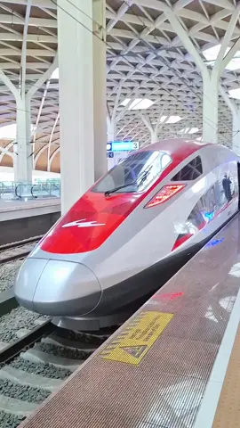 Naik Kereta Cepat Whoosh Jakarta-Bandung🚆