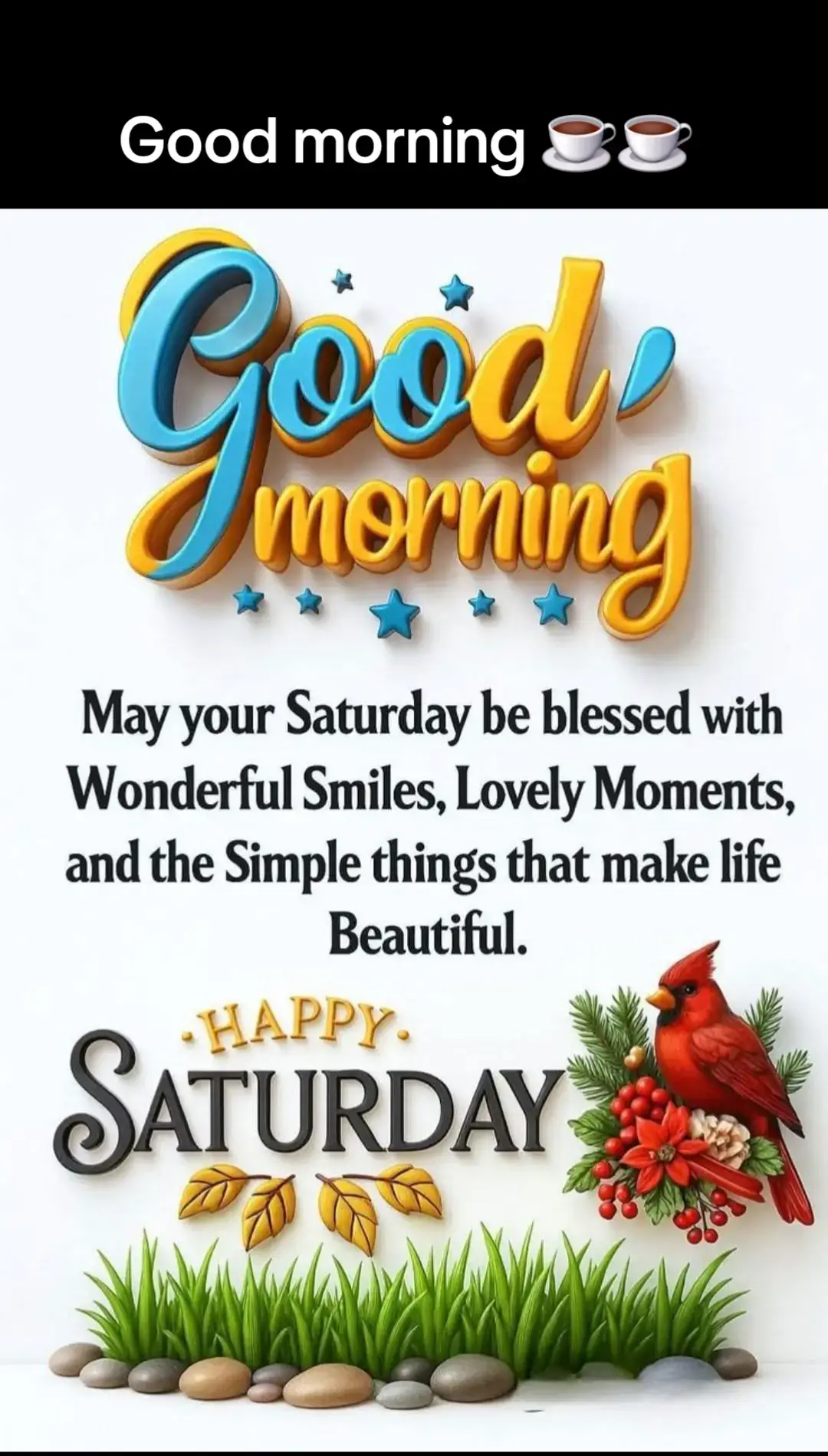 #happysaturday #itstheweekend #fyp #foryoupage❤️ #coffee ☕️☕️🥰🥰
