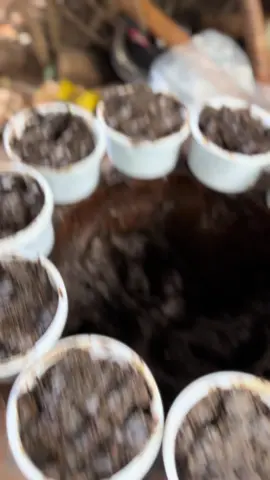 #cotonou229🇧🇯 #viraltiktok 