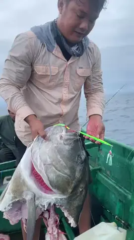 wajib pajak😅😅 assisthook @sigid48  metal jig @Fish Hunter Bali  line pe 4 @SEA DRAGON INDONESIA  @patanapancing  #jigging #ambontiktok #ambonpride🏝🔥 #mancingmania 