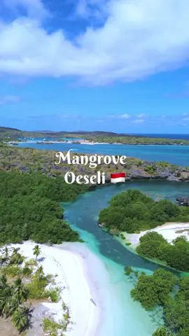 📍Mangrove Oeseli  #oeseli  #rotendao  #nttpride🏝🔥 