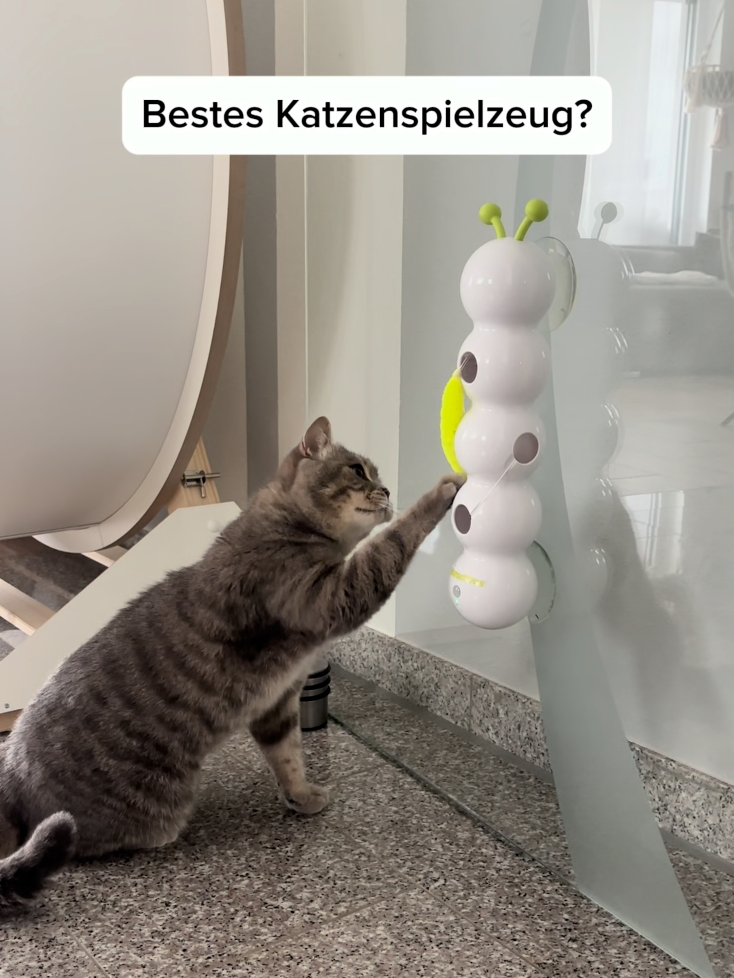 SELBSTGEKAUFT. Hat deine Katze ein Lieblingsspielzeug was nur langweilig wird? Ich finde die Suche echt schwer kann den Wuzel-Wurm aber dennoch empfehlen. UNBEZAHLTE WERBUNG #toffeeundgeorgie #spielzeugtest #katzenspielzeug #katzenbeschäftigung #amazonfinds