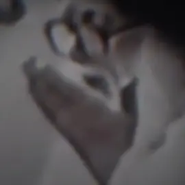 #السلام #السلام_على_شهيد_الجمعه_ونجليه_الطاهرين #اكسبلو #محبين #لايك #متابعة 