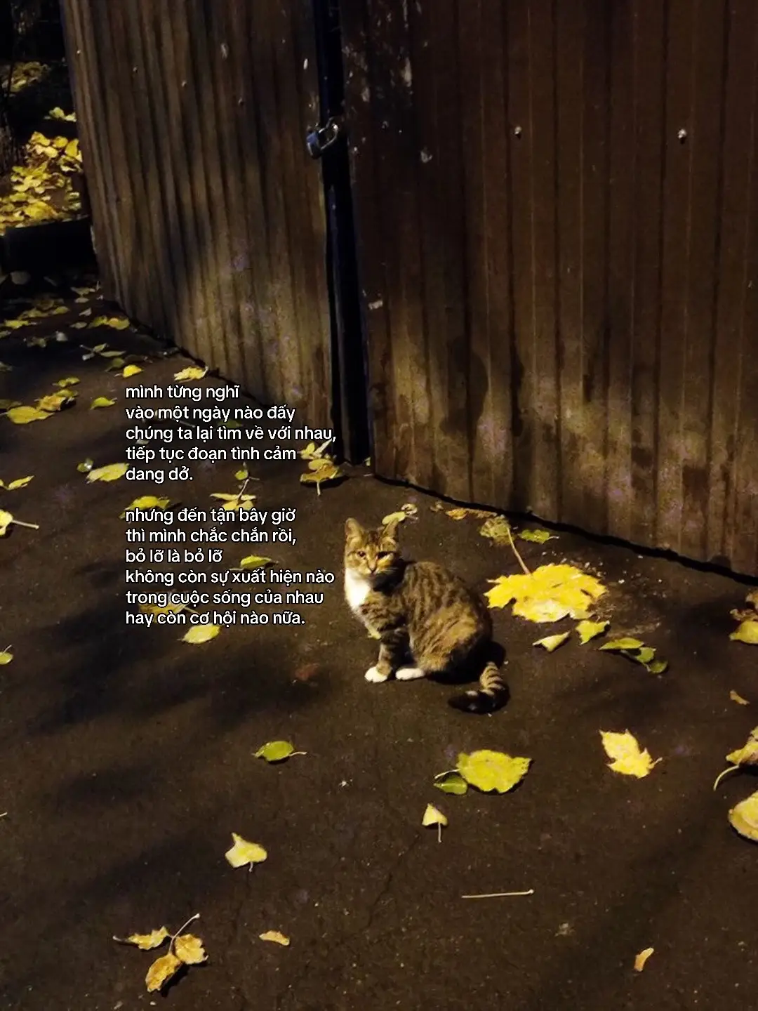 #buon_tam_trang #viral #fyp #xuhuong #tinhyeu 