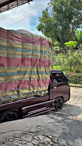 kalteng dituju🤲🏻🤩#wildandan #l300_pickup 