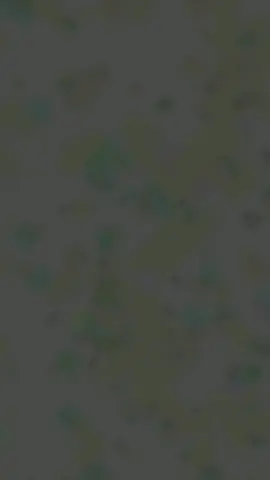 #foryoupage #🌹🌹🌹 #foryoupage #foryoupage #🌹🌹🌹 