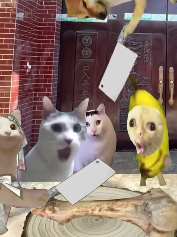 ada yang masih ingat gak dengan orang China 1 ini 😹||promosi pisau chinese||#kucing #kucinglucu #memestiktok #cat #kucingmeme 