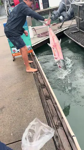 Was not expecting that #fyp #fishing #cod 