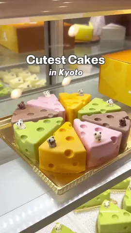 Mouse cakes in Kyoto 🐭🧀 At this café you can try unique cheesecakes with a twist 🥰 🍰 Happiness Cheesecake – ¥570 🍰 Happiness Jelly Cheesecake with coconut jelly & lime cream – ¥520 🍵 Matcha Latte – ¥630 📍 Kyo Karucha Café  51 Matsuyacho, Nakagyo Ward, Kyoto, 604-0831, Japan #japantravel #kyototrip #kyotocafe 
