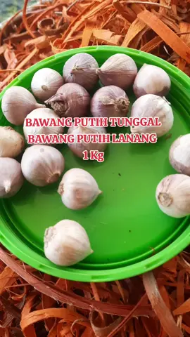 Bawang putih tunggal Bawang putih lanang #singlegarlic 😄 #garlicpearl Bawang putih lanang dikenal sebagai herbal alami dan sering digunakan untuk pengobatan tradisional. Cara Konsumsi: Langsung dimakan mentah (biasanya 1 siung per hari, pagi hari sebelum makan) Dikunyah atau ditelan seperti kapsul Dibuat infus (direndam dalam madu, minyak zaitun, atau cuka apel) Digunakan sebagai bahan tambahan dalam masakan atau jamu bisa juga dibuat acar dan dimakan bersama nasi sebagai lauk 