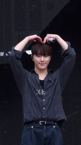 baby otter #dino #seventeen ctto
