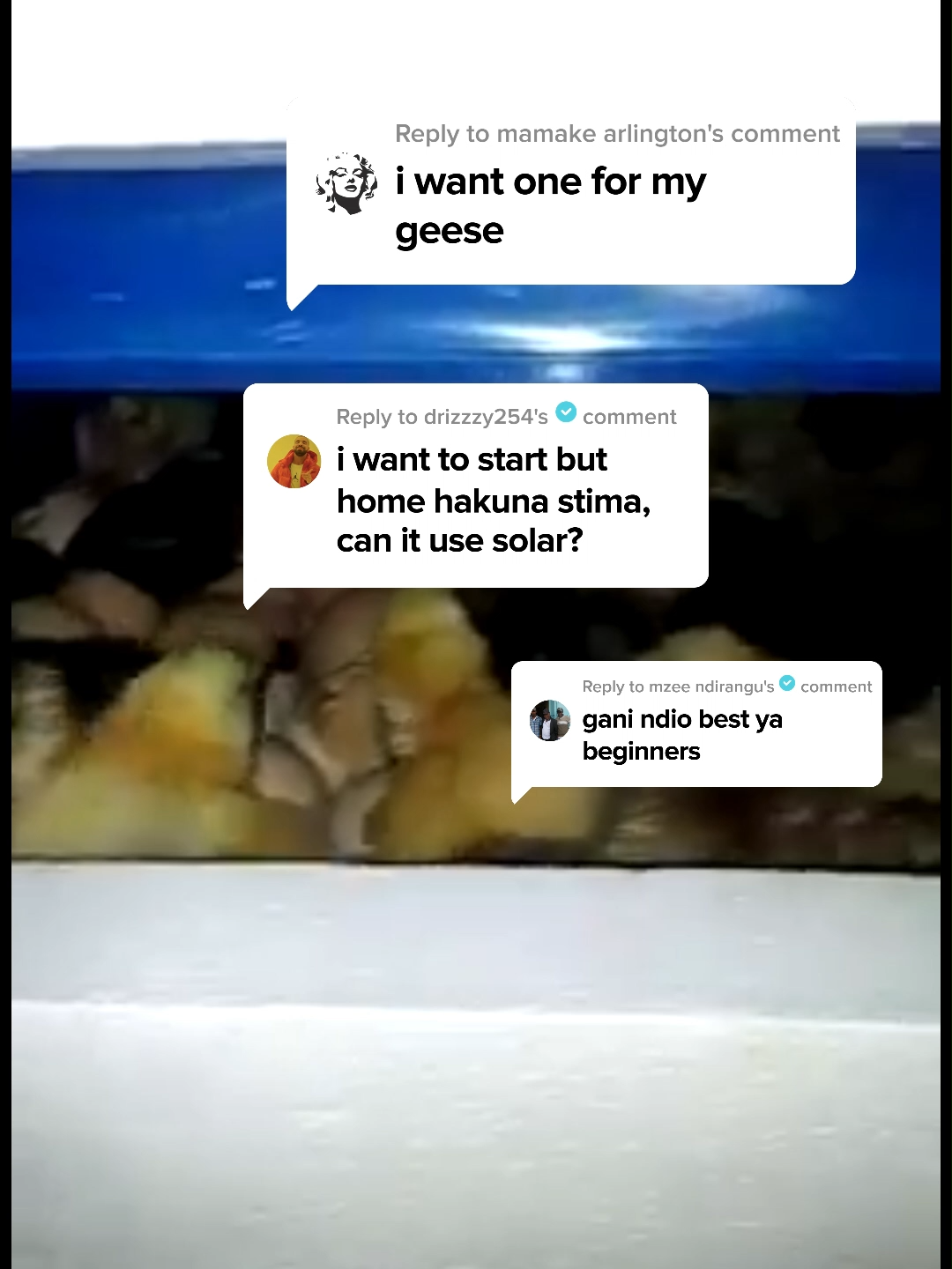 The 64 egg incubator is hands down the best egg incubator for beginners. It can easily use AC and DC power, and it comes at a pocket-friendly price. order one from Eco Kuku and Enjoy free delivery countrywide, 1 year warraty as well as continued customer support. Call us on 0710 905 696 to order one for yourself. Karibu sana Eco Kuku! #eggincubator#chicks#chicken#poultry#kenyansingulf#FORYOU#geese#farming