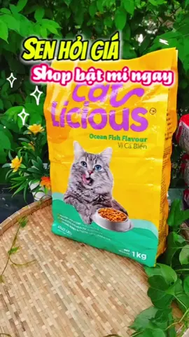 Trả lời @my.my176 Hạt CatLicious vị cá biển dành cho mèo trưởng thành – gói 1kg đủ dinh dưỡng: 26% protein, Omega, Taurine, Yucca giúp boss ăn ngon, khỏe mạnh, lông mượt. 👉 Giá chi tiết sen chỉ cần bấm vào giỏ hàng vàng để xem và đặt ngay. #xuhuong #hatchomeo #thucanchomeo #nhabemeow #doanchomeo #catlicious #xuhuong #hatchomeo #thucanhatchomeo #doanchomeo #nhabemeow #thucanchomeo #chomeo #trending #pets #meow #meocung #thucanchothucung #meo
