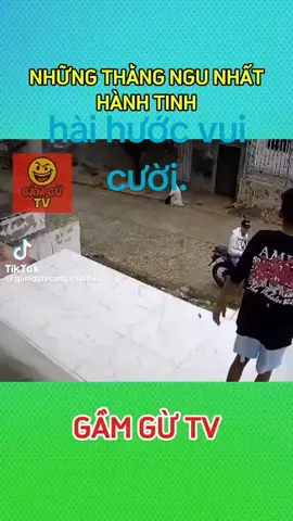 Hài hước vui cười quên mệt mỏi 
