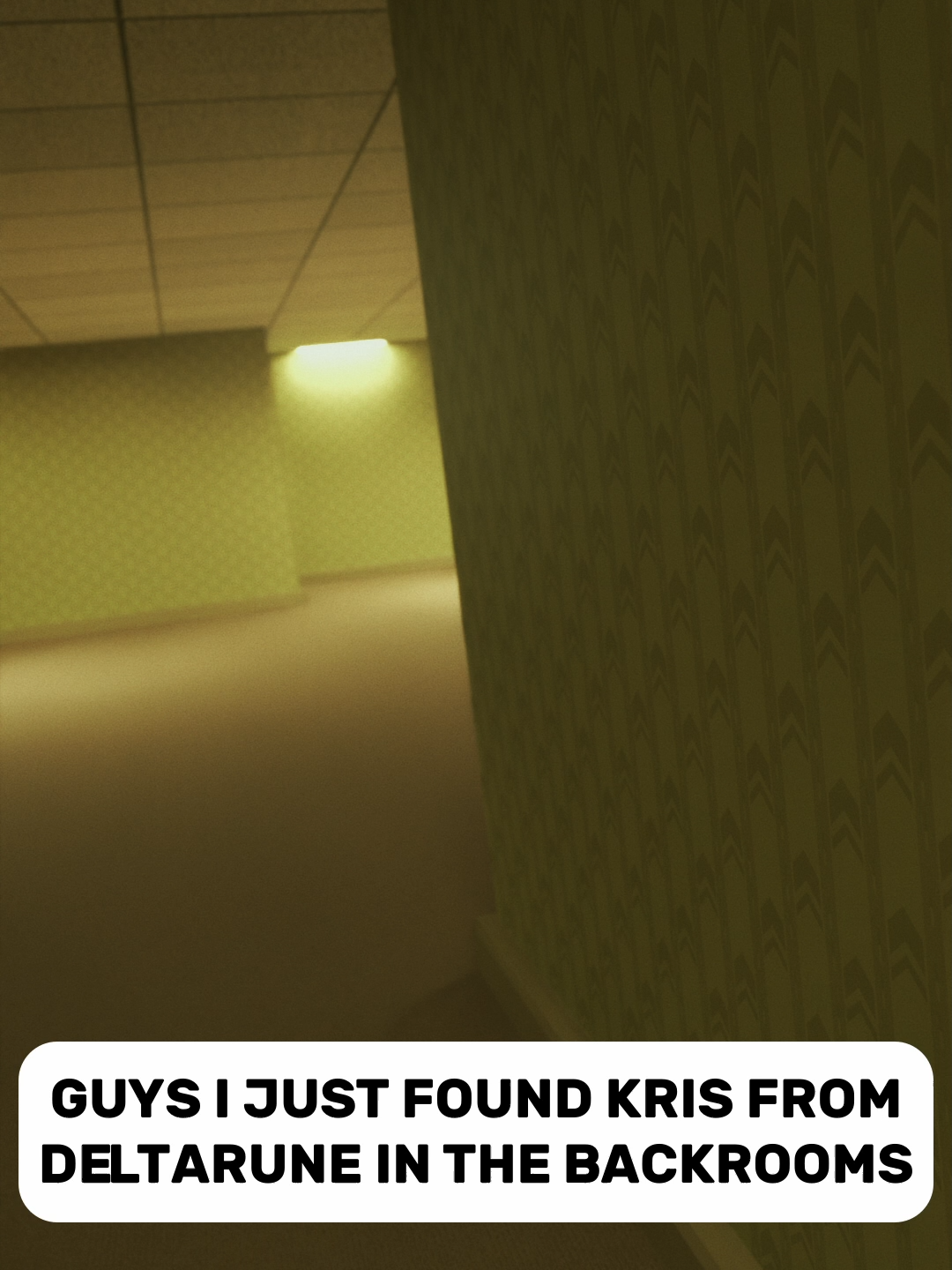 I found DELTARUNE in the BACKROOMS! #deltarune #backrooms