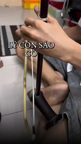 Lý con sáu trên cây đờn cò bình dân Tây Ninh #danco #lyconsao 