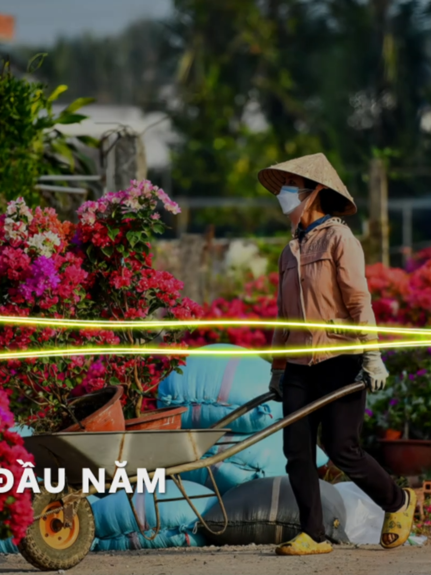 Nhạc Tết 2026 Mới Hay Nhất - Nhạc Xuân 2026 Remix Hay Nhất Nghe Là Thấy Tết #cauchuyendaunamremix #nhacxuan #chucmungnammoi2026 #nhacxuanhaynhat #lkxuan2026 #nhacxuan2026 #nhacxuanremix #bdmediamusic #bdmusictrending #nhachaymoingayngay #xuhuong2024 #daimeoremix #phapsudaimeo #djdaimeo #nhactreremix2025 #vinahouse2025 #xh2025 #nhacremix2025🎧 #nhachaymoingay🎶