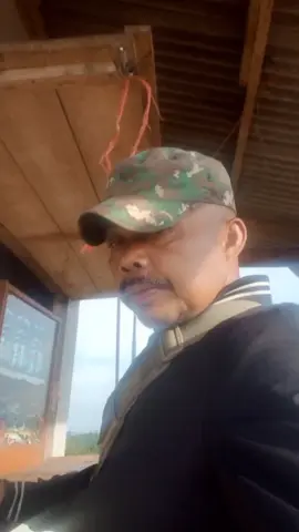 #CapCut 