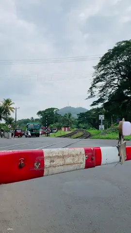 දුම්රිය දෙපාර්තමේන්තුවට හොදම පාඩුවක් උන තැනක්  #ඇවිදින්නා #foryou #viral #Tren #foryoupage 