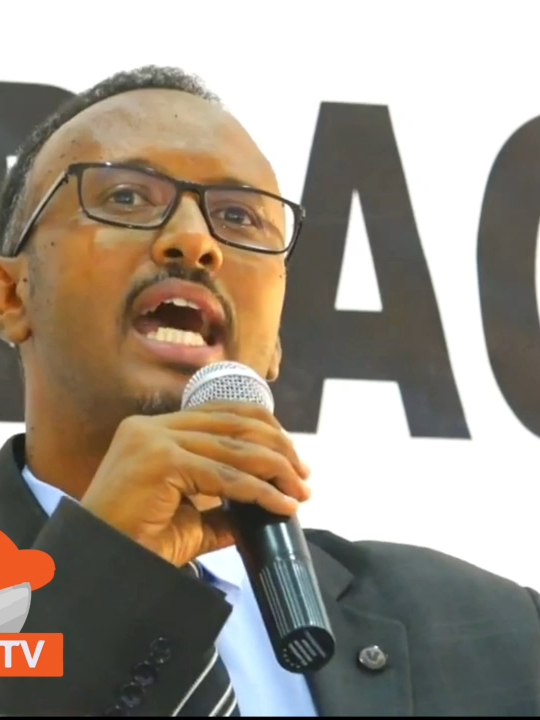 Somaliland Hadii Diyaarado Laga Joojiyey iskugu Dhiibayso Soomaaliya Kuwii Madaafiicda La dhacay Ayey Isku dhiibi Lahayd,Somaliland Waa Dawlad Taariikh Cusub dhigtay