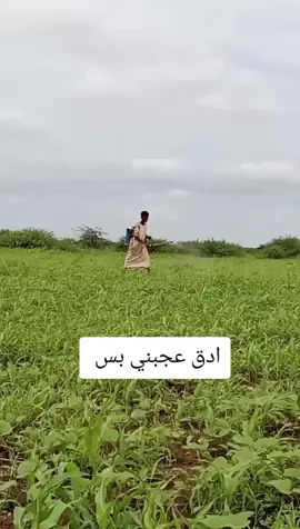 #مليون_مشاهدة❤ #جخو،الشغل،دا،يا،عالم،➕_❤_📝✌️🌍🦋 #البطانه_جمال_الباديه_والريف #مليون_مشاهدة❤ 