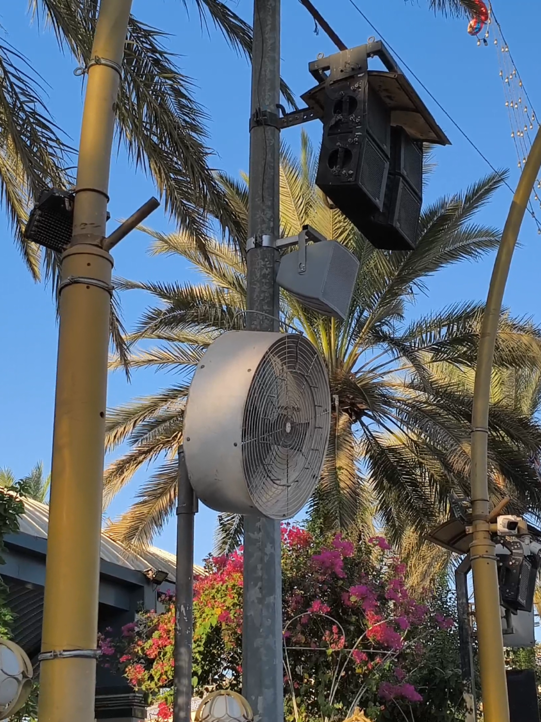 جَنه الله في الارضِ ياحُسَينَ #كربلاء #عشوائيات #تصويري #ترند #اكسبلور 