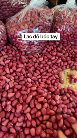 Lạc đỏ ngon bùi ngậy mỗi nhà vài kí ăn dần thôi #lạcđỏ #lạcđỏtâybắc #đặcsảntâybắc #xuhuong 