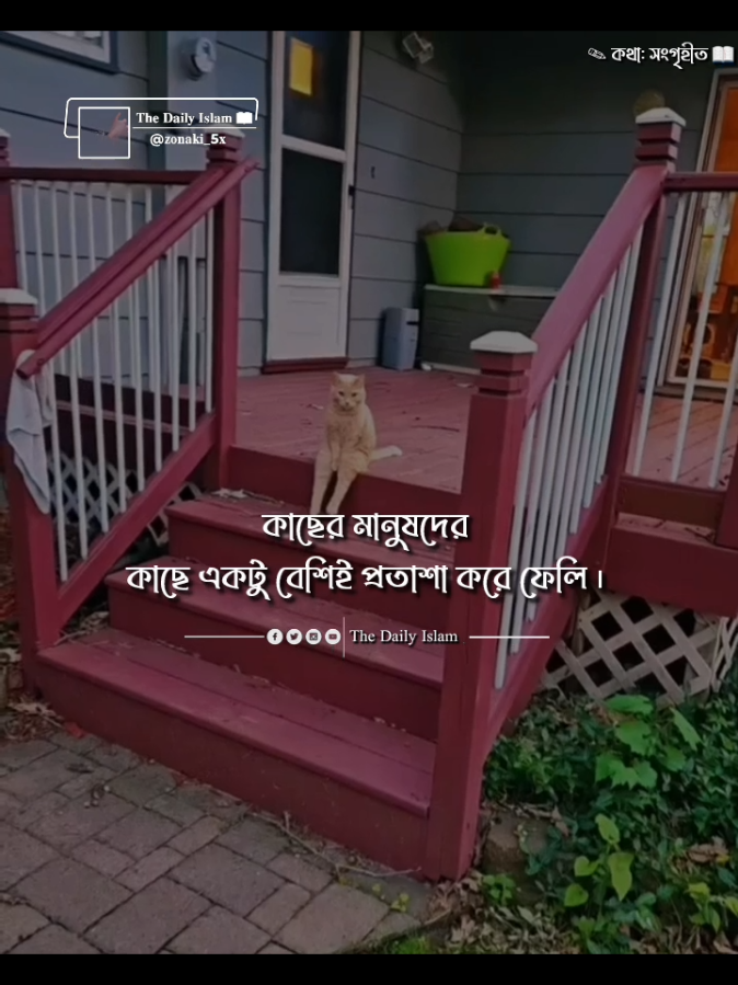 আমি মানুষটা একটু অন্য রকম :) 😌🌷 #unfrezzmyaccount #foryou #কপি_লিংক_করো_প্লিজ_প্লিজ #সাপোর্ট_করলে_সাপোর্ট_পাবে #zonaki_5x 