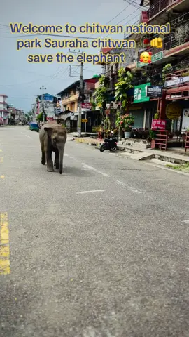 #sauraha_chitwan🇳🇵 shishir shopping center#