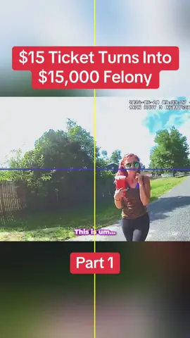 $15 Ticket Turns Into $15,000 Felony Part 1 #cops #copsoftiktok #police #policeofficer #fyp 