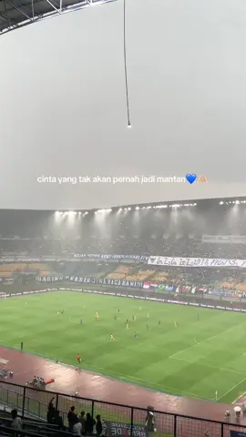 💙🫶🏻#persib #gelorabandunglautanapi #fyp #bandung 