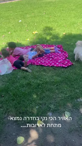 #חדרה#תחנתכח 