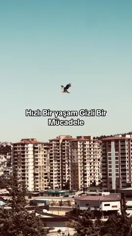 𝐑𝐀𝐂𝐎𝐍 𝐒𝐎̈𝐙𝐋𝐋𝐄𝐑𝐈̇ 𝐀𝐋𝐀𝐋𝐈𝐌🗽#yukselx272 #keşfet #storytime #fypシ゚ #fypage  