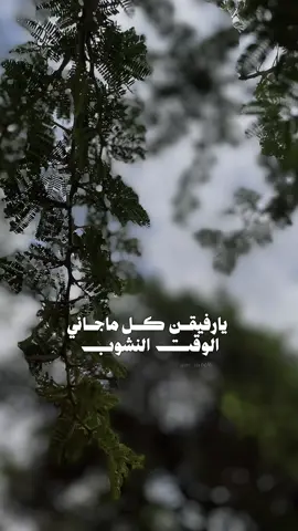 الشعب الصيني ماله حل#