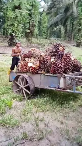 cuaca hari ini mendung tapi panas 💪 #fy @Sorotan 