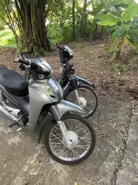 #xuhuong #viral #fyp 