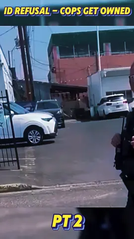 #police #fyp #foryou #audit 