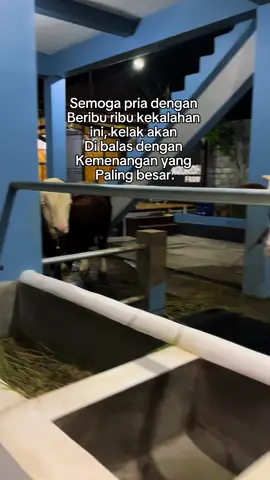 🙂#fypシ゚ #foryoupage #peternakmuda #peternaksapiindonesia #sapijumbo 