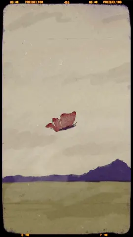 #glasgow #kurdistan #slemani #Scotland #art 