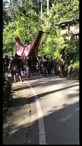 tradisi penguburan suku Toraja #sukutoraja #ritualpenguburansukutoraja #fypp