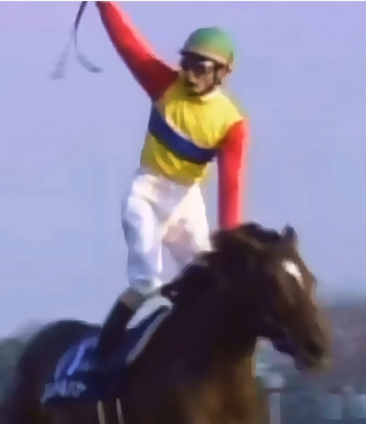 怪鳥 エルコンドルパサー #競馬好き #ウマ娘 #racehorses #umamusume #elcondorpasa 