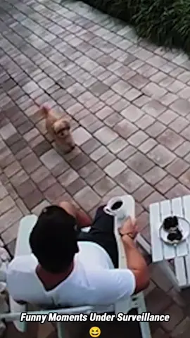 Funny moments under surveillance😂#foryour #funny #funnyvideos #funnymoments #usa 