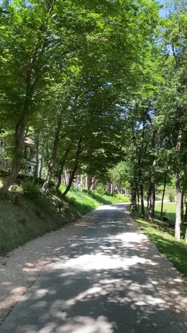 Piece. #fyp #traveltiktok #georgia #nature #xzyabc 