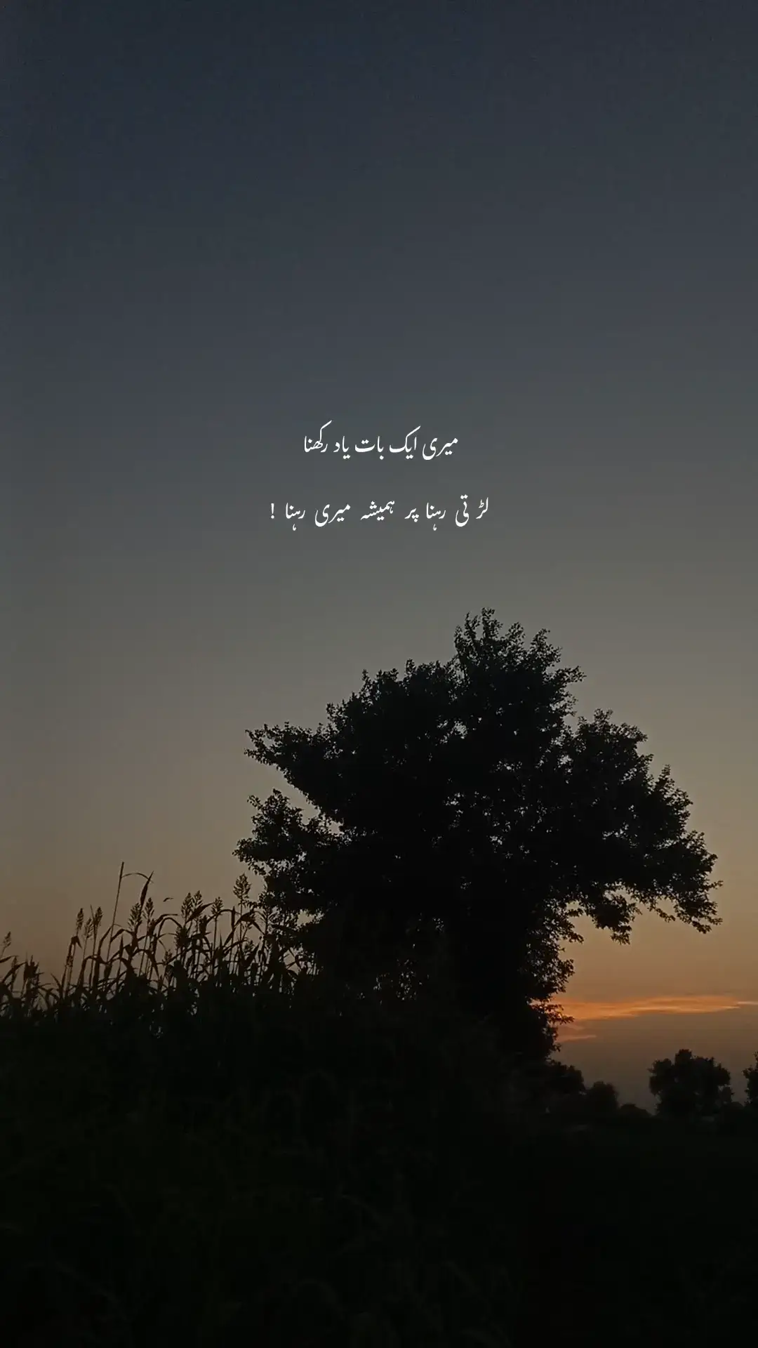 #ternding #poetry #viral 