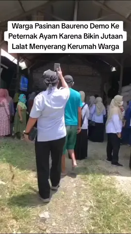 Warga Pasinan Demo ke Peternak ayam Yang Bikin Jutaan Lalat Menyerang KePemukikan Warga Sekitar #pasinan #baureno #bojonegoro24jam #fyp #lalat #creatorsearchinsights 