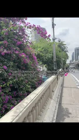 #foryou #viral #fyp #thankb4youdo #pyaesonn1905 @Pookie🧸 