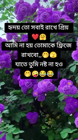 হৃদয় তো সবাই রাখে প্রিয় আমি না হয় তোমাকে ফ্রিজে রাখবো যাতে তুমি নষ্ট না হয় 🤭🤭😂😂😂😂