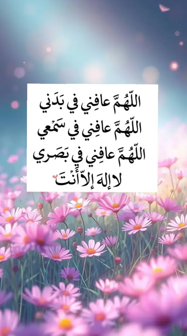 #fyp #fypage #اكسبلورexplore 