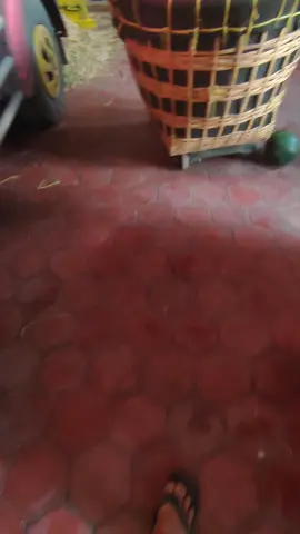 thak methu sek yo bliii #fyp #semongko🍉 #semongkobalap🍉 