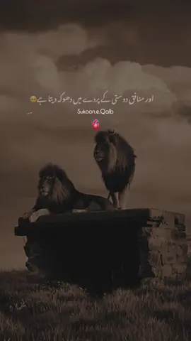 Munafiq Dost !💯😔 #fyp #tiktok #viralvideos #foryou #foryoupageofficiall 